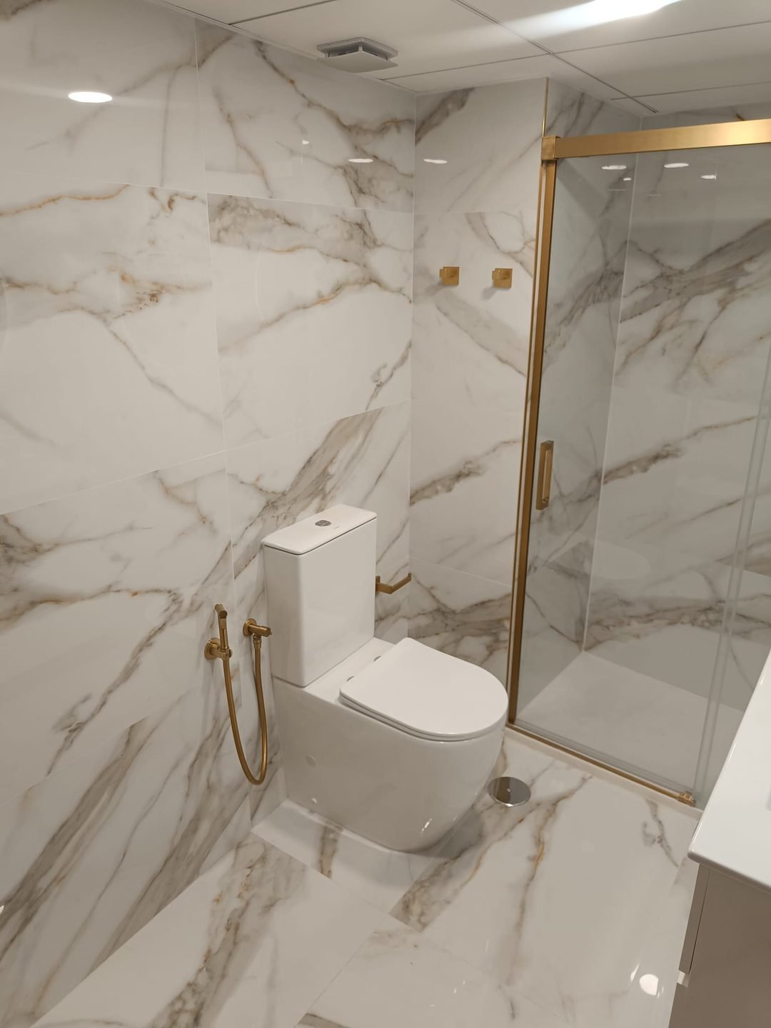 WC with a gold bidet spray next to the shower closed off by a gold framed screen